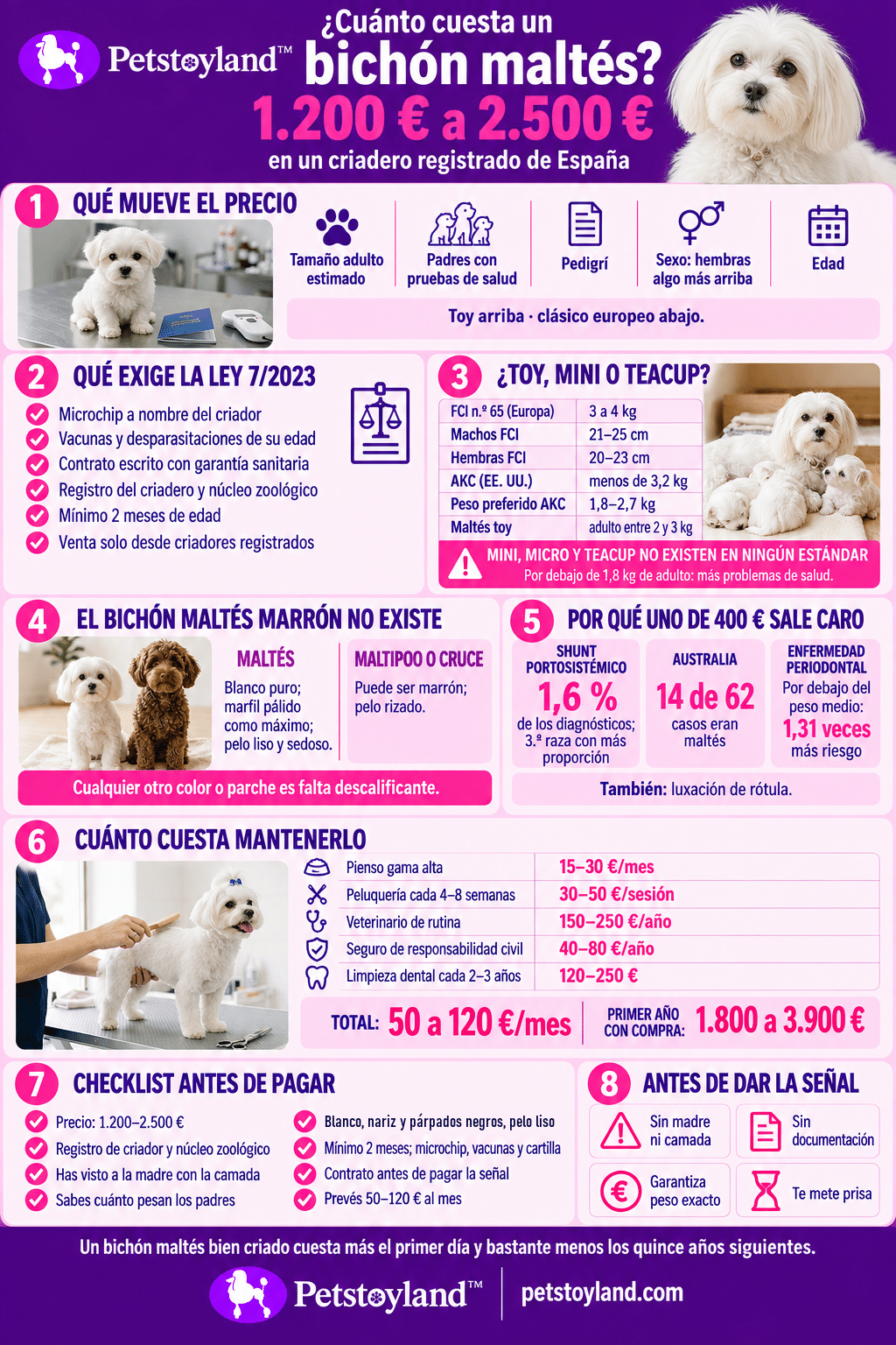Infografía de Petstoyland sobre cuánto cuesta un bichón maltés: horquilla de 1.200 a 2.500 euros, qué exige la Ley 7/2023, tamaños toy y estándar, por qué el maltés marrón no existe, coste mensual y checklist antes de pagar