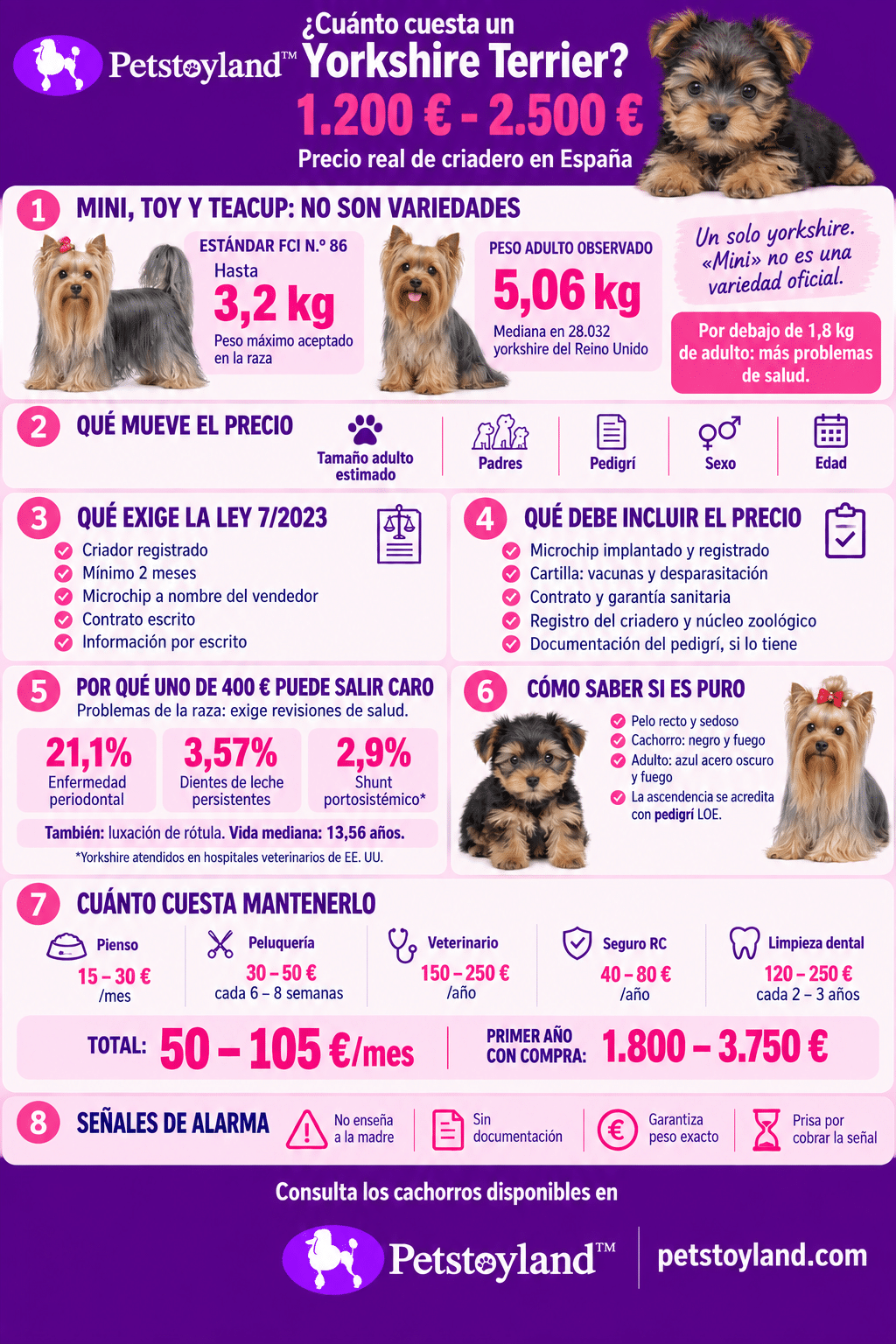 Infografía del precio del yorkshire terrier: horquilla de criadero de 1.200 a 2.500 €, el peso del estándar FCI frente al yorkshire medio, qué exige la Ley 7/2023, qué incluye el precio, problemas de salud de la raza, costes de mantenimiento y señales de alarma